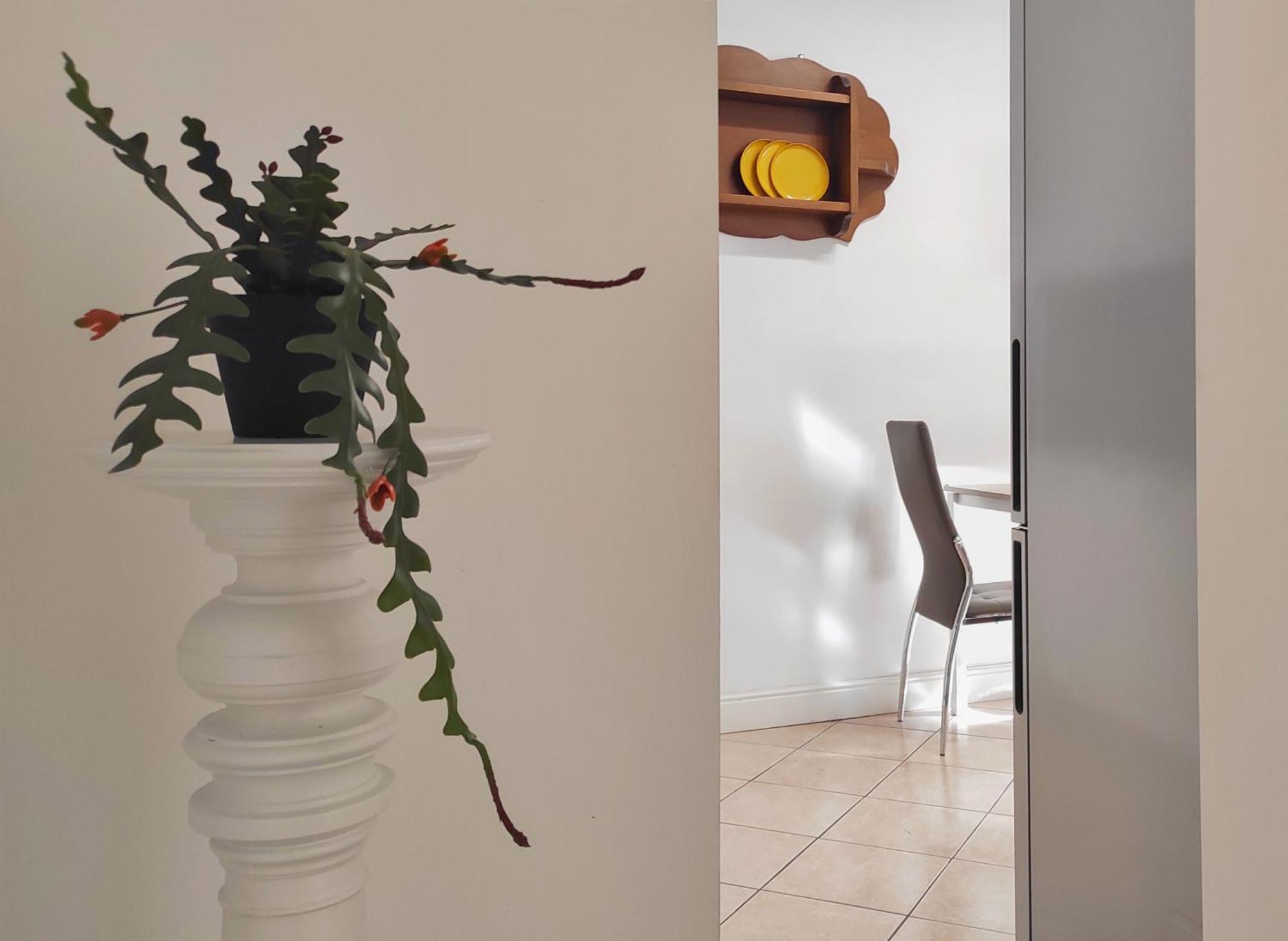 Conte Verde Apartments Турин Экстерьер фото